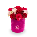 Květinový box růží